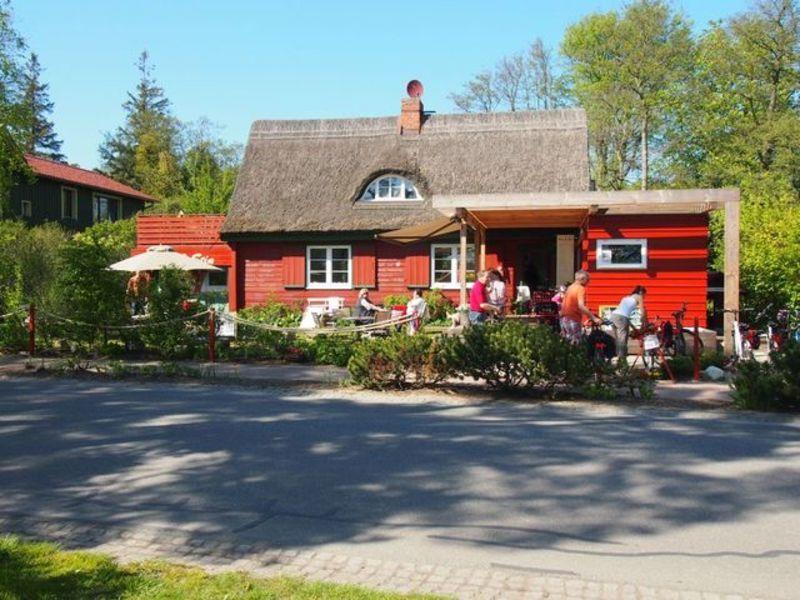 Reetdach - Promenadenblick - 500M Zum Strand Prerow Exterior foto